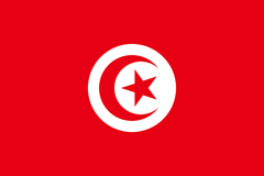 Large Tunisian Flag Polyester 3’x5’ (90x150cm)