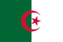 Large Algerian Flag Polyester 3’x5’ (90x150cm)