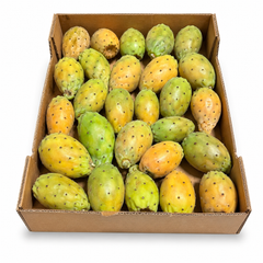 Fresh Moroccan Golden Prickly Pears Cactus – 3 kg Tray