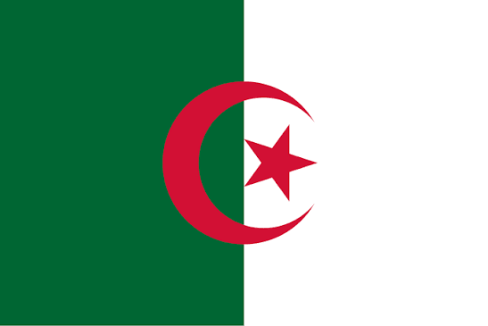 Large Algerian Flag Polyester 3’x5’ (90x150cm)