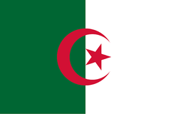 Large Algerian Flag Polyester 3’x5’ (90x150cm)