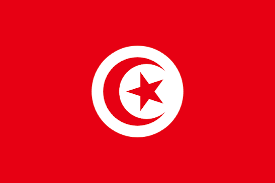 Large Tunisian Flag Polyester 3’x5’ (90x150cm)