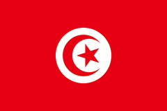 Large Tunisian Flag Polyester 3’x5’ (90x150cm)