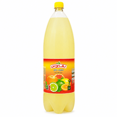 Ngaous Citrus Soft Drink 2L – Algerian Soda