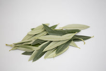 Load image into Gallery viewer, Pure Natural Olive Leaves Mido 30g

